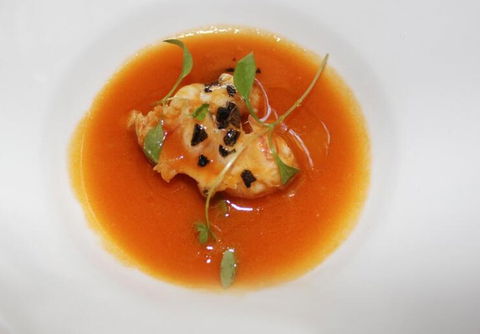 MoVida Sydney - Tourism Hervey Bay 2