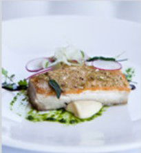 PJ's Irish Sports Bar & Bistro @ The Criterion Hotel - Hervey Bay Accommodation 0