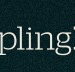 Dumpling Republic - Hervey Bay Accommodation