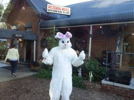 Victoria Hotel - Hervey Bay Accommodation 3