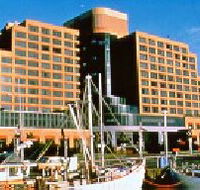 The Atrium Bar - Hervey Bay Accommodation