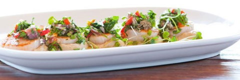 La Repubblica - Hervey Bay Accommodation 0