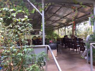 Alice Vietnamese Restaurant - Tourism Hervey Bay 4