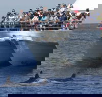 MoonshadowTQC Cruises - Tourism Hervey Bay