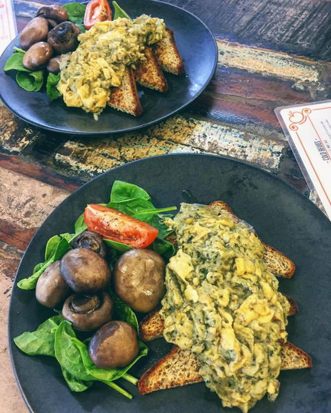 Pantry 15 - Tourism Hervey Bay 1