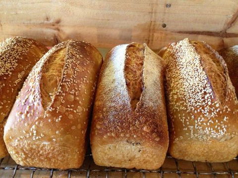 Blackbird Artisan Bakery - Hervey Bay Accommodation 0