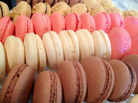 Blackbird Artisan Bakery - Hervey Bay Accommodation 1