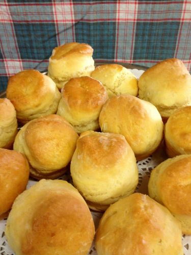 Blackbird Artisan Bakery - Hervey Bay Accommodation 3