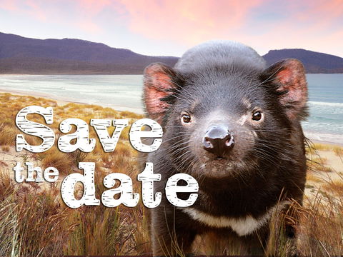 Art Group Longford - Tourism Hervey Bay 0