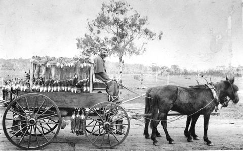A Tale Of Two Villages - An Exhibition - Hervey Bay Accommodation 1