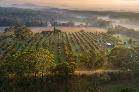 A Taste Of Truffles - Hervey Bay Accommodation 1