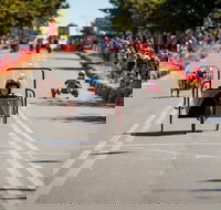Australian Billy Cart Championships - Tourism Hervey Bay