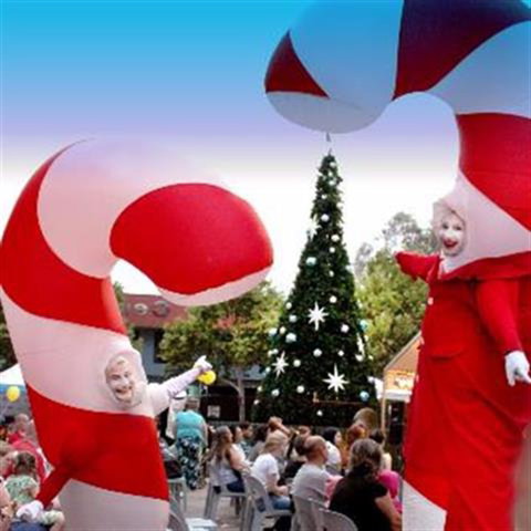 Blacktown Christmas Light Up Concert - Hervey Bay Accommodation 0