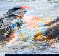 Cave Hill Creek Summer Camp - Hervey Bay Accommodation