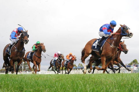 Christmas Cup Race Day - Hervey Bay Accommodation 0