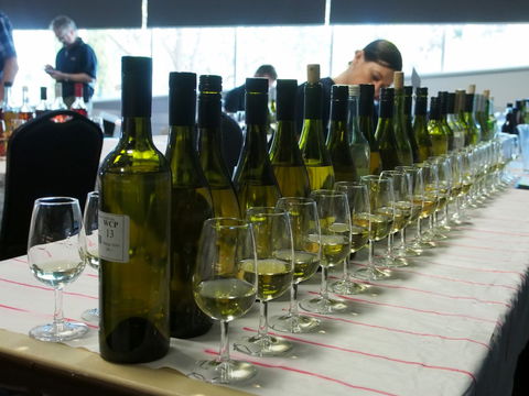 Eltham And District Wine Guild Annual Wine Show - 51st Annual Show - Hervey Bay Accommodation 1