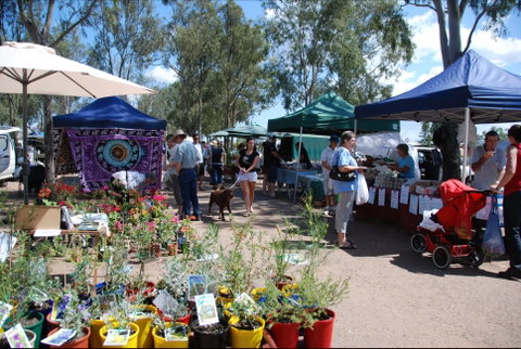 Fernvale Country Markets - Tourism Hervey Bay 0
