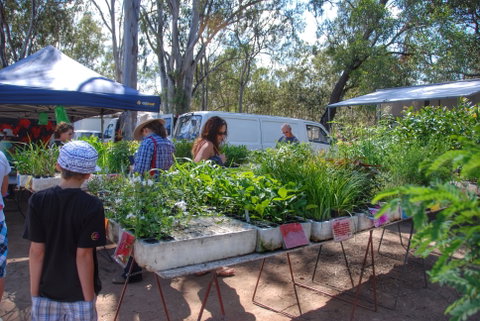 Fernvale Country Markets - Tourism Hervey Bay 1