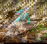 Fox Superflow sealed by Stan's Race  Ourimbah - Hervey Bay Accommodation