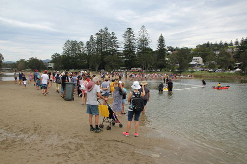 Gerringong Men’s Shed Annual Duck Derby - Tourism Hervey Bay 2