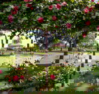 Griffith Spring Fest - Hervey Bay Accommodation