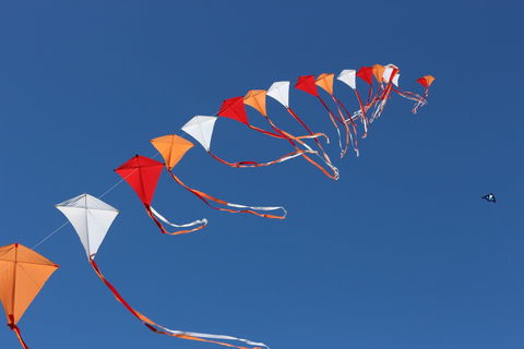 Harden Kite Festival - Hervey Bay Accommodation 0