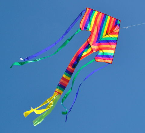 Harden Kite Festival - Hervey Bay Accommodation 1