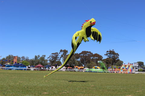 Harden Kite Festival - Hervey Bay Accommodation 2