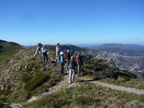 Hedonistic Hiking's Falls Creek To Hotham - Hervey Bay Accommodation 1