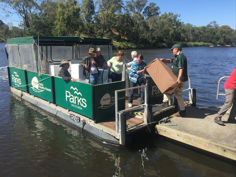 Herring Island Summer Arts Festival - Hervey Bay Accommodation 1