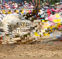 Jindabyne's Man From Snowy River Rodeo - Hervey Bay Accommodation