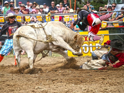 Jindabyne's Man From Snowy River Rodeo - Hervey Bay Accommodation 0