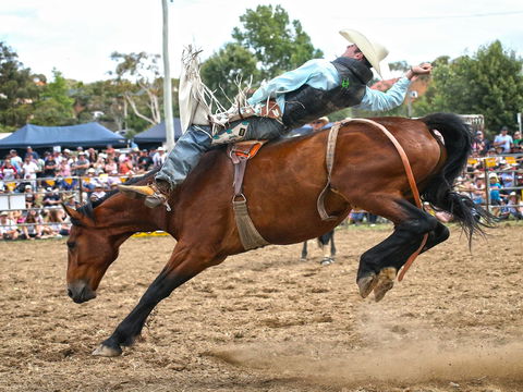 Jindabyne's Man From Snowy River Rodeo - Hervey Bay Accommodation 1