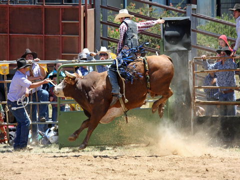 Jindabyne's Man From Snowy River Rodeo - Hervey Bay Accommodation 2