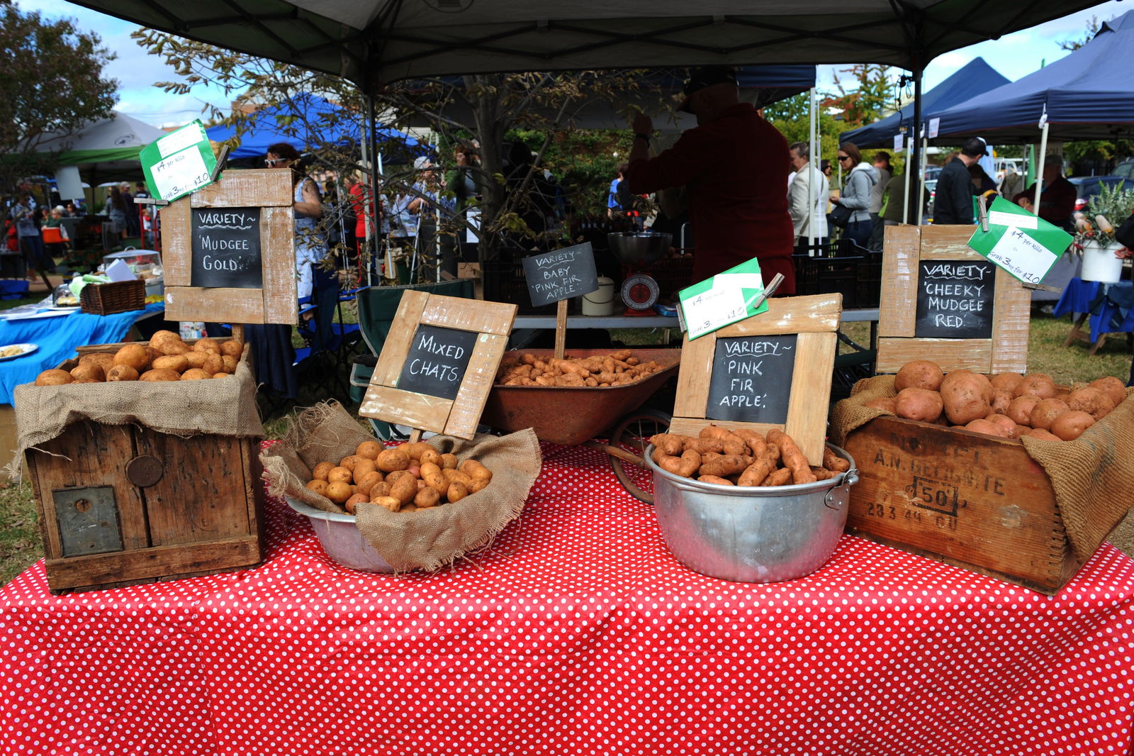 Mudgee NSW Tourism Hervey Bay