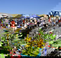 Maclean Community Monthly Markets - Tourism Hervey Bay