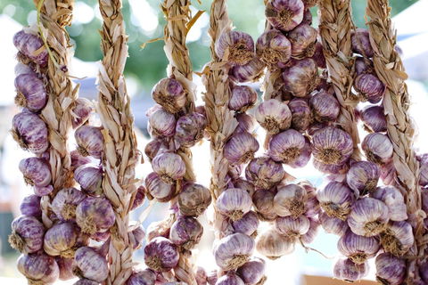 Meeniyan Garlic Festival - Hervey Bay Accommodation 0