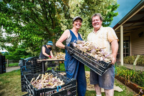 Meeniyan Garlic Festival - Hervey Bay Accommodation 2