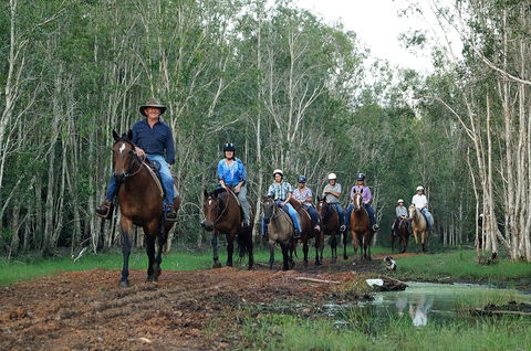 Night Horse Ride And Dinner - Tourism Hervey Bay 0