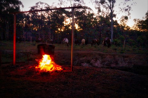 Night Horse Ride And Dinner - Tourism Hervey Bay 2