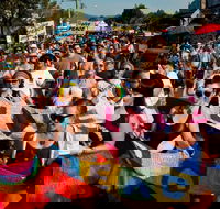 Nimbin Roots Festival - Hervey Bay Accommodation