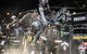 PBR Hawkesbury Stampede - thumb 0