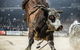 PBR Hawkesbury Stampede - thumb 1