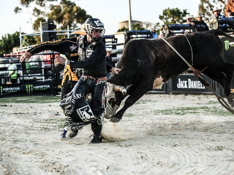 PBR Hawkesbury Stampede - Tourism Hervey Bay 2