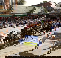 Scone Horse Festival - Hervey Bay Accommodation
