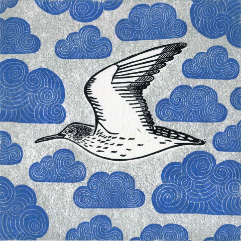 The Overwintering Project: Kingborough - Tourism Hervey Bay 0