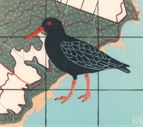 The Overwintering Project: Kingborough - Tourism Hervey Bay 2