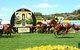 The O’Brien Electrical And Plumbing Lismore Cup - thumb 1