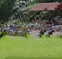 Tumut Derby Day - Hervey Bay Accommodation