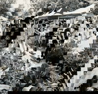 Yamba Farmers and Producers Market - Tourism Hervey Bay